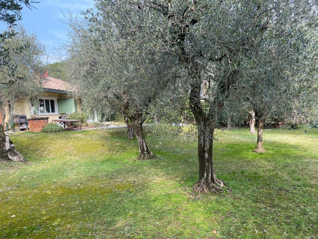 Villa Sweet Flower - With Private Pool And Garden Манерба-дель-Гарда Екстер'єр фото
